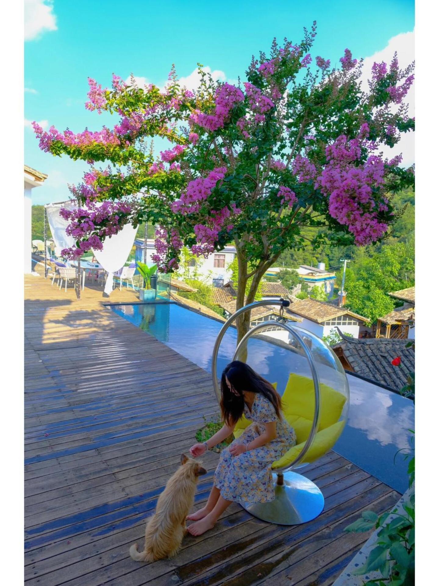 No Flowers Boutique Hostel Кунмин Екстериор снимка